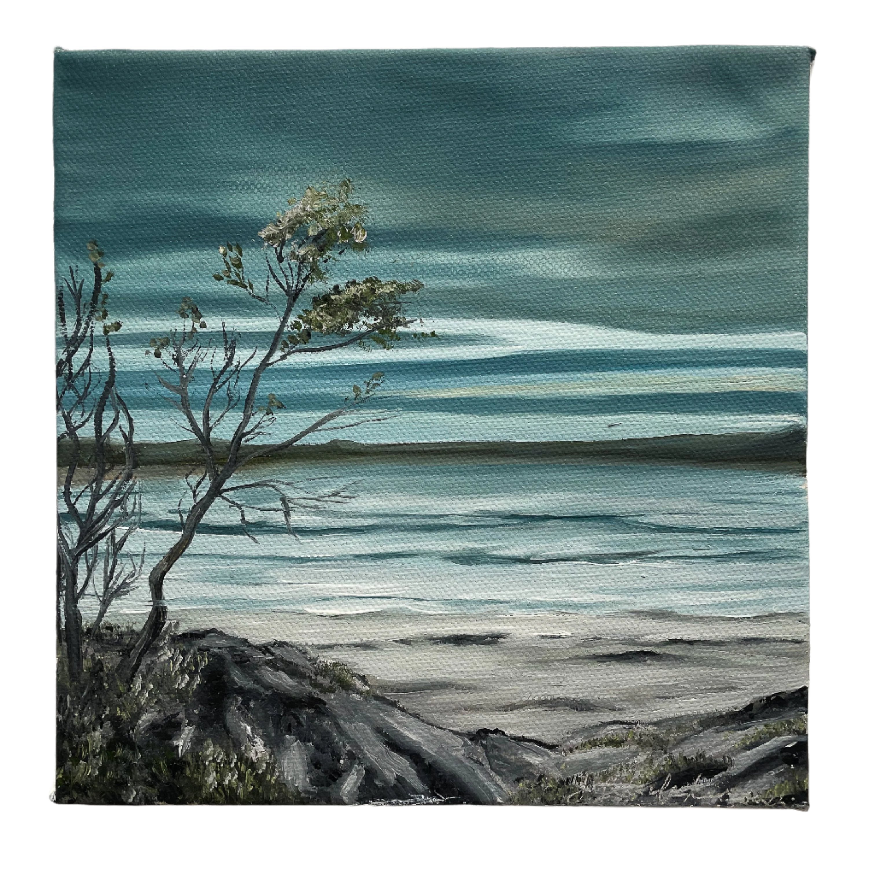 Australian landscape: Winter  in Warrnambool.  landscape painting from Australia.  Front
