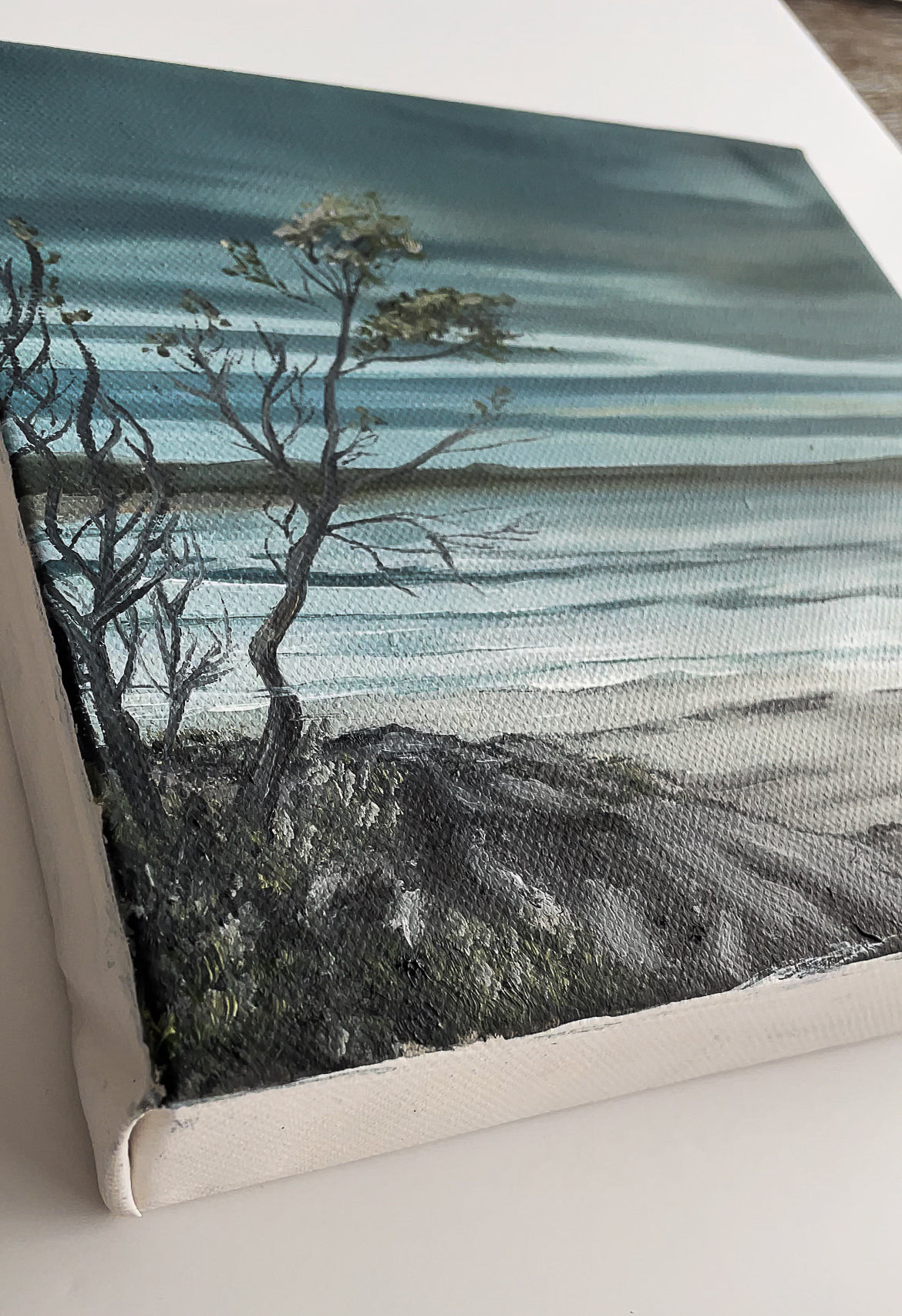 Australian landscape: Winter  in Warrnambool.  landscape painting from Australia. Side
